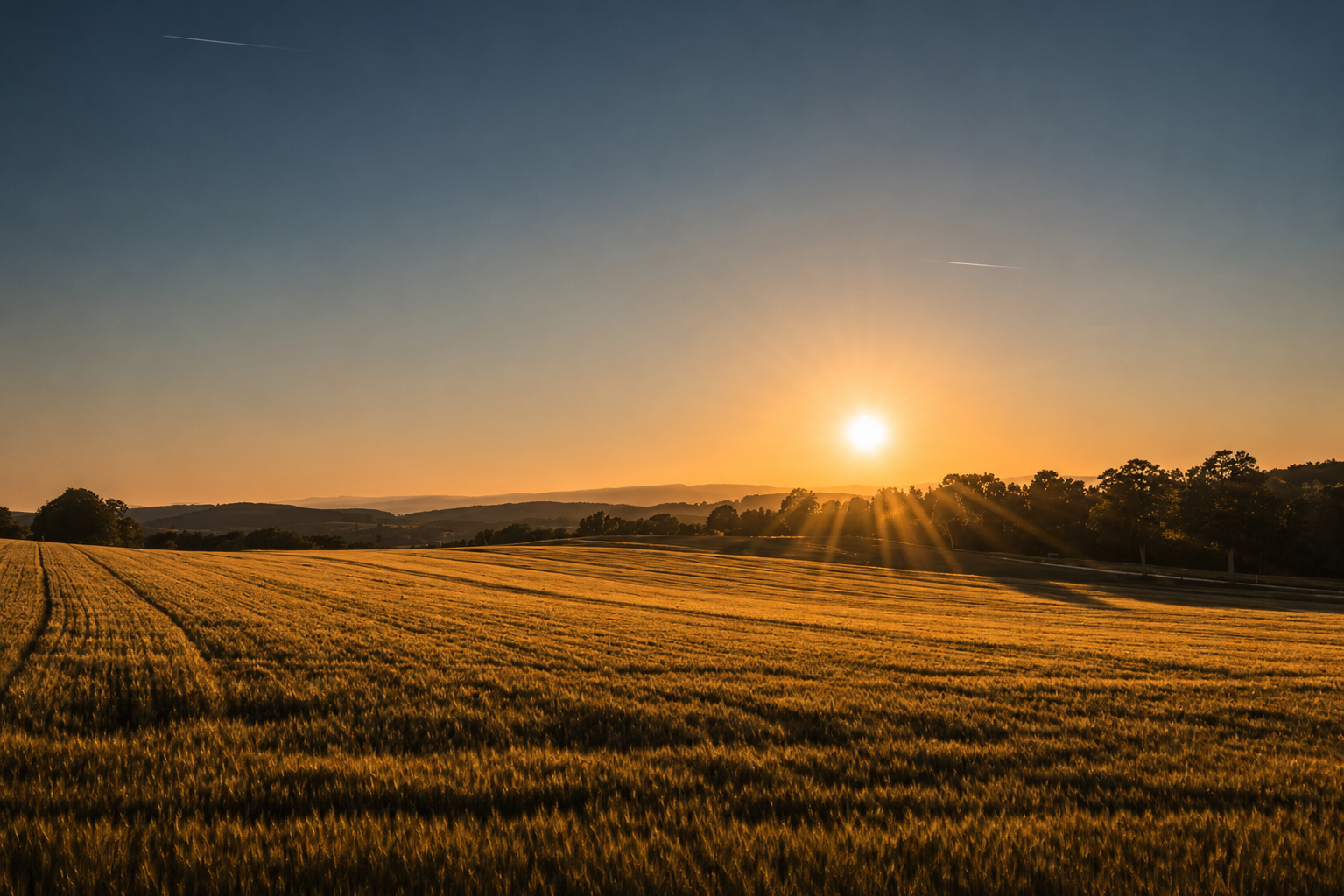 Agriculture and technology